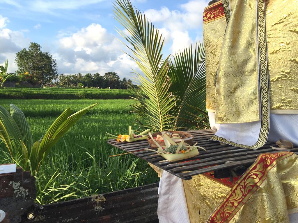 Suly Vegetarian Resort & Spa Убуд Экстерьер фото
