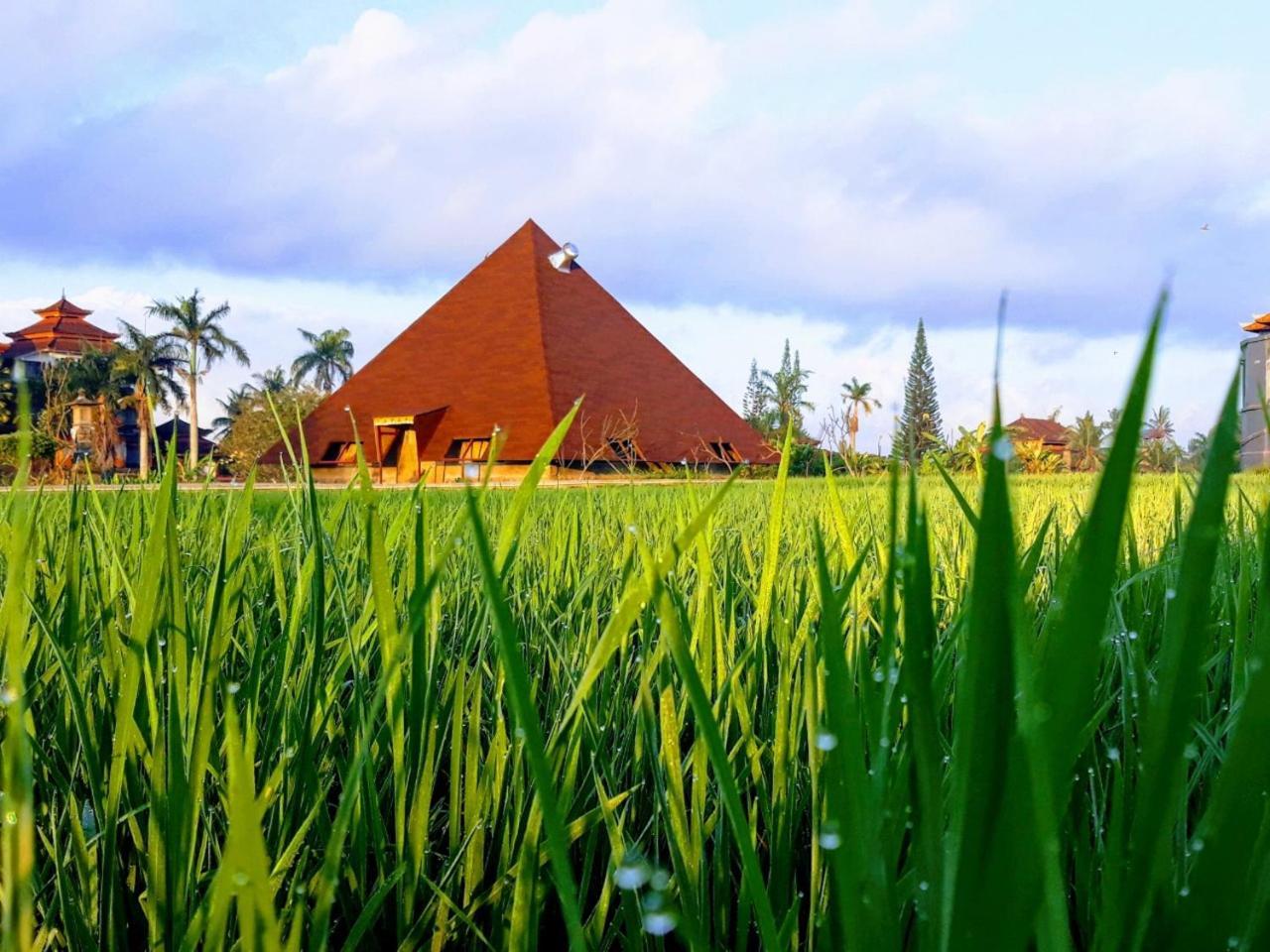 Suly Vegetarian Resort & Spa Убуд Экстерьер фото
